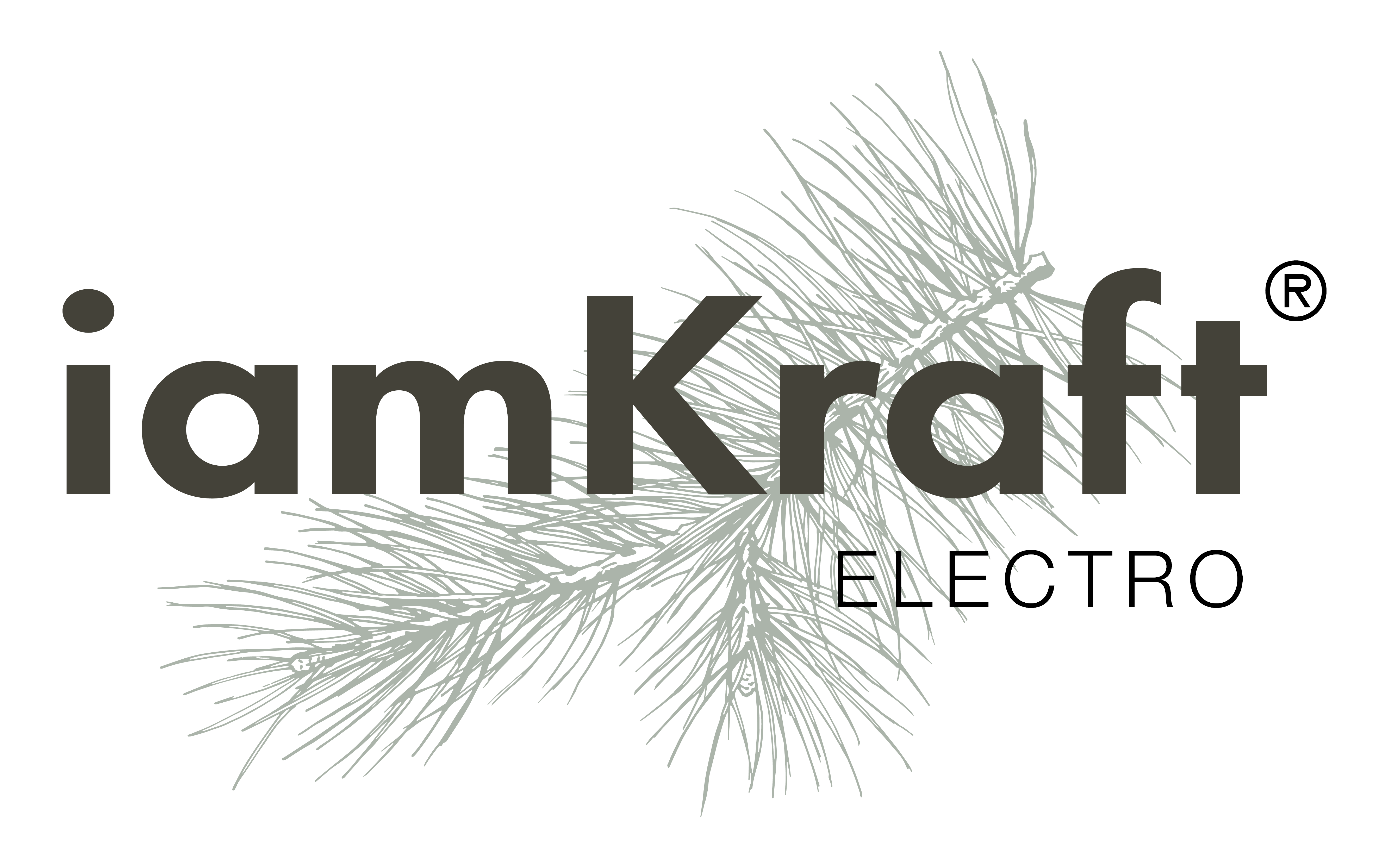 iamKraft Electro