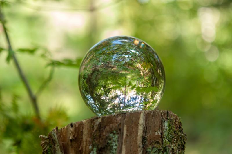 Kristallkula på stubbe reflekterar barrskog.